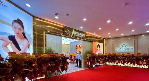 德诚珠宝集团河南运营中心盛大开业，璀璨演出点亮中原