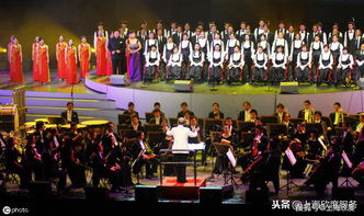三叔咨询 营业性演出许可证办理后可以从事哪些业务？